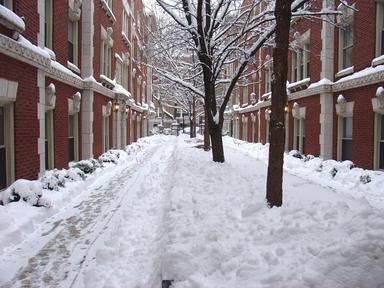 Snow in Courtyard DSC06051b.jpg