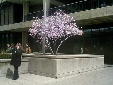 uic_sce_2009_04_20b.jpg